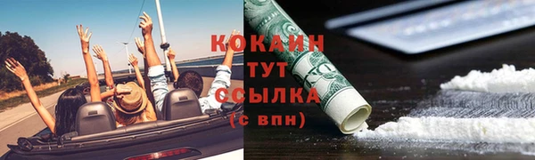 PSILOCYBIN Киренск