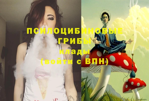 PSILOCYBIN Киренск